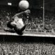 Gordon Banks