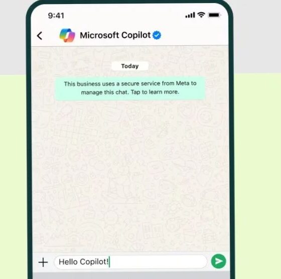 Copilot Whatsapp