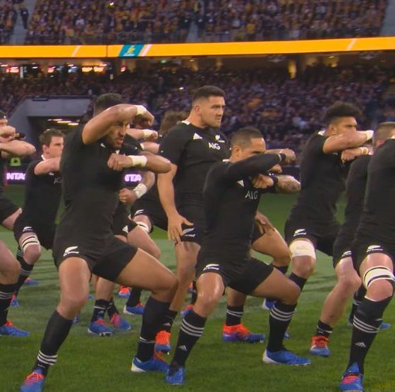 Haka Maori All Blacks